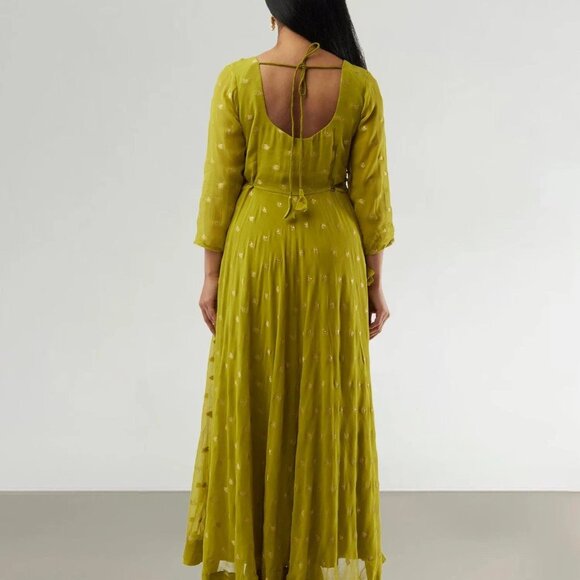 Green Banarasi Georgette Anarkali Suit | Muvvas Boutique - Picture 3 of 4